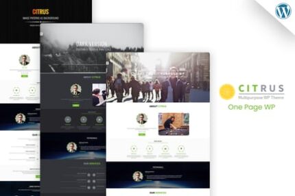 Citrus - One Page WordPress Theme