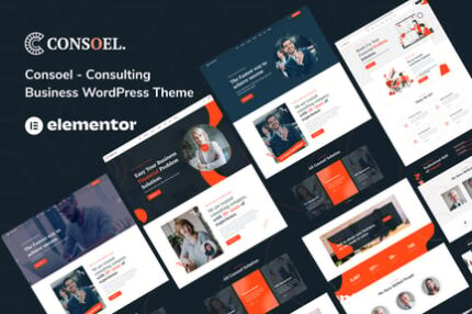 Consoel - Consulting Business WordPress Theme