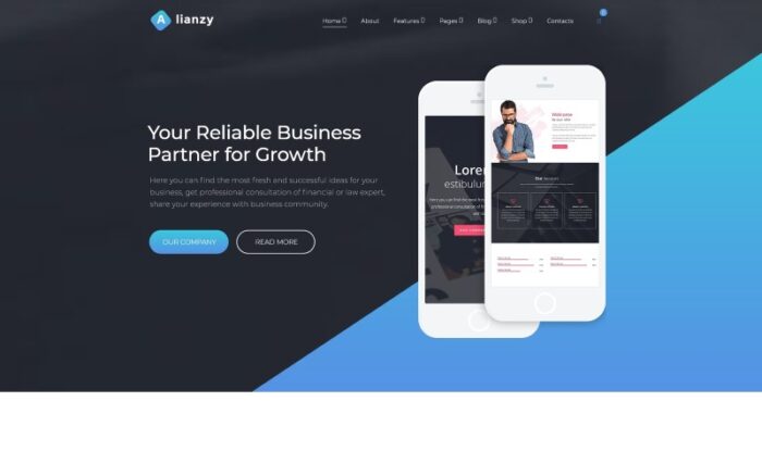 Alianzy - Business Partnership WordPress Elementor Theme WordPress Theme