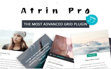 Atrin pro v1.0 - The best grid making plugin WordPress Plugin