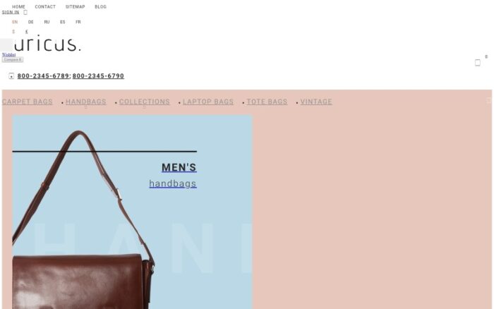 Auricus - Handbag Responsive PrestaShop Theme