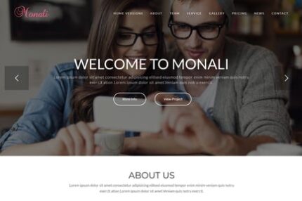 Monali - Business Agency WordPress Theme