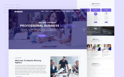 Bindas Digital Agency Business Website template Website Template