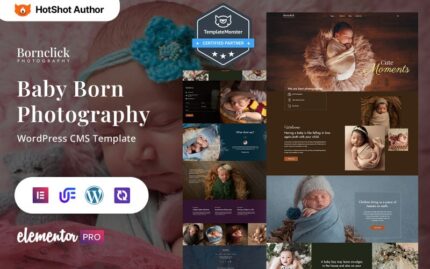 Bornclick - Baby Born Photography And Photo Portfolio WordPress Elementor Theme WordPress Theme