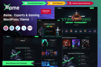 Bame - eSports and Gaming WordPress Theme