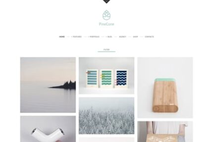 PineCone - Creative Portfolio and Blog for Agency