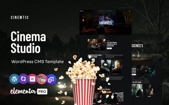 Cinemtic - Cinema And Movie Studio Multipurpose WordPress Elementor Theme WordPress Theme