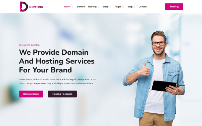 Domting - Domain and Hosting Provider Company and Agency Elementor WordPress Theme