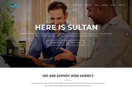 Sultan - One Page Business WordPress Theme