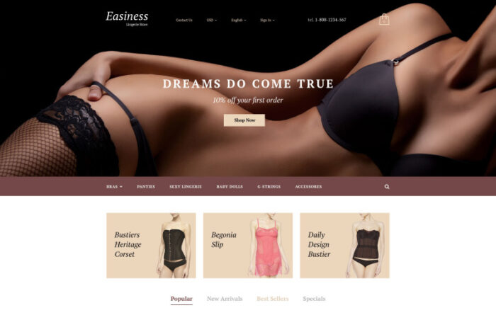 Easiness PrestaShop Theme