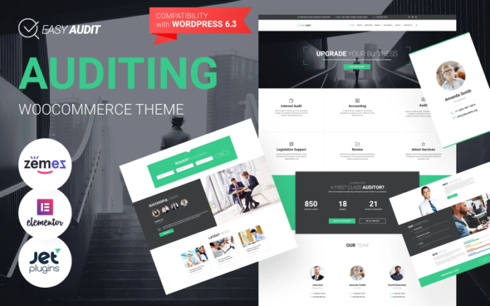 EasyAudit - Auditing WordPress Theme