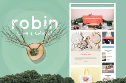 Robin - Cute & Colorful Blog Theme