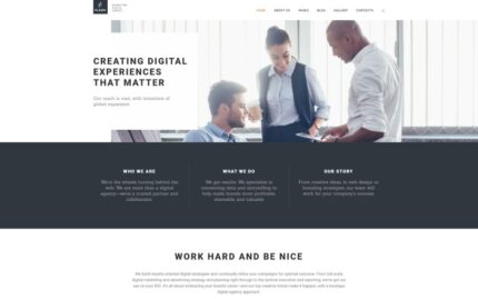 Flash - Digital Marketing Agency Joomla Template