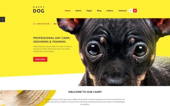 Happy Dog Joomla Template