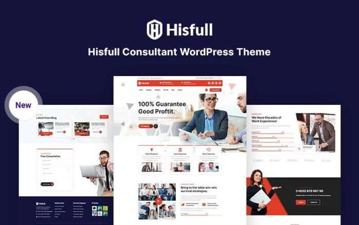 Hisfull - Consultant Responsive WordPress Theme