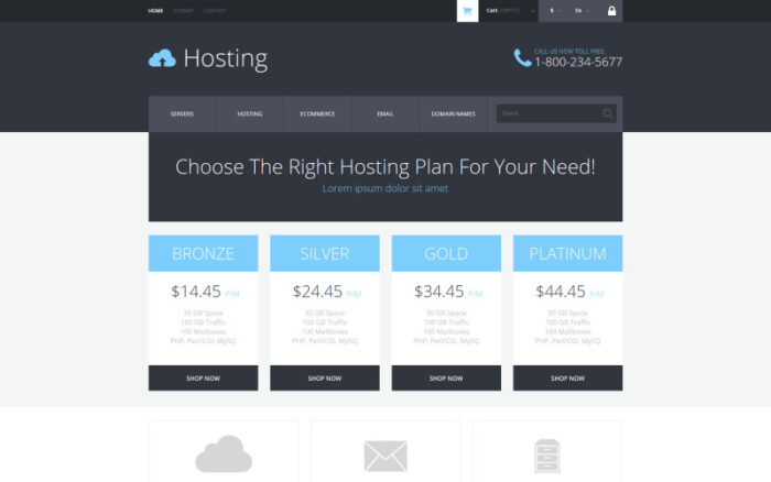 Hosting Services Provider PrestaShop Theme