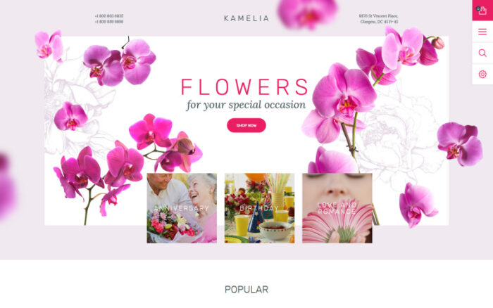 Kamelia PrestaShop Theme