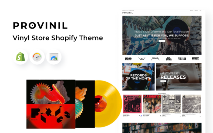 Provinil - Vinyl Store Shopify Theme