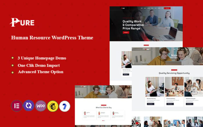 Pure - Human Resource Wordpress Theme WordPress Theme