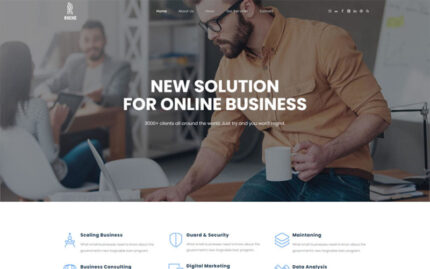 Roche - Business Consulting WordPress Theme