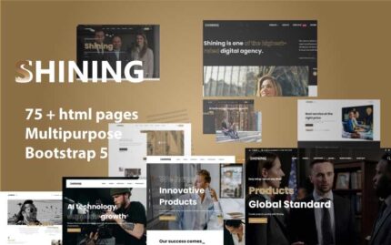 Shining - Design Website Mulitpurpose Art HTML5 Template Website Template