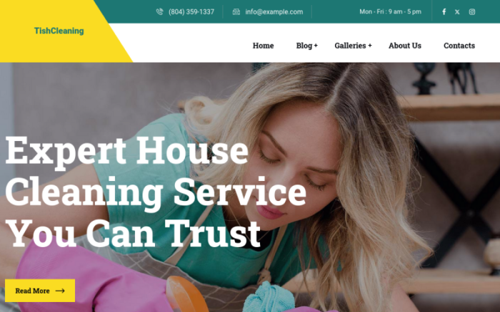 TishCleaning - Cleaning Services WordPress Theme