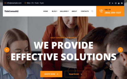 TishConsult2 - Business and Consulting WordPress Theme