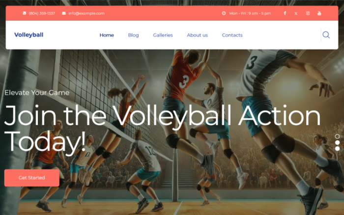 TishVolleyball - Volleyball WordPress Theme