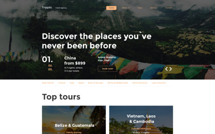 Tripplic Website Template