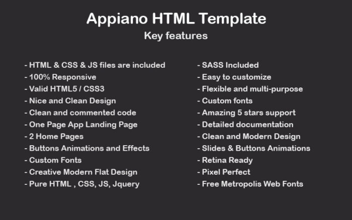 Template Halaman Arahan Aplikasi Seluler HTML Aapiano - Fitur Gambar 4