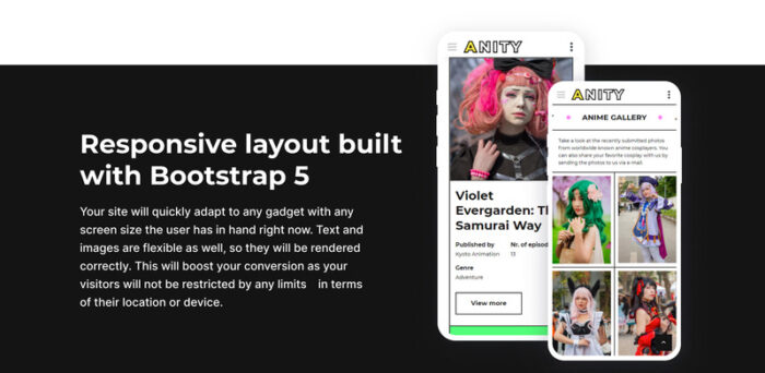 Anity - Template Situs Web HTML5 Anime - Fitur Gambar 6