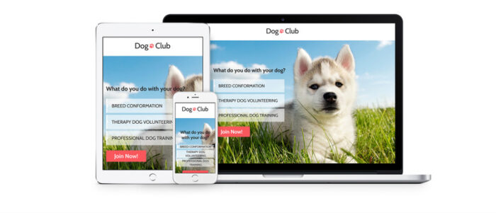 Dog Club - Peternak Anjing Kompatibel dengan Template Halaman Arahan Novi Builder - Fitur Gambar 6