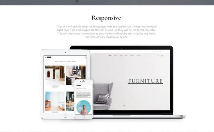 Quali - Template Situs Web Responsif Multihalaman Furnitur - Fitur Gambar 6