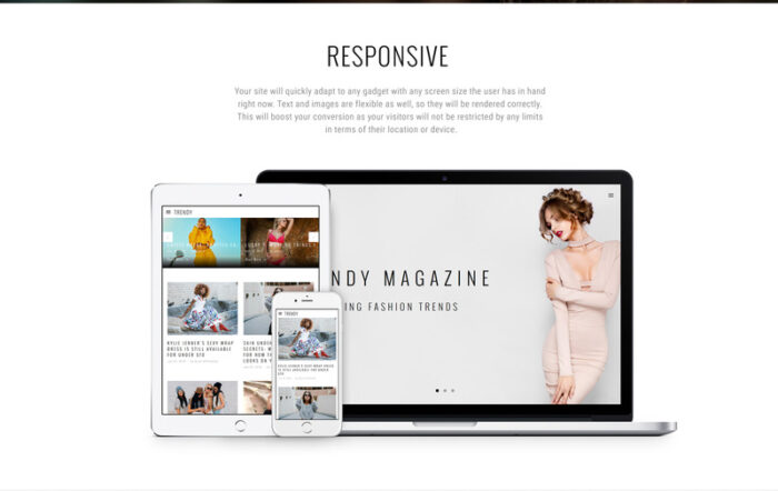 Trendy - Template Situs Web HTML5 Multihalaman Majalah Mode - Fitur Gambar 7