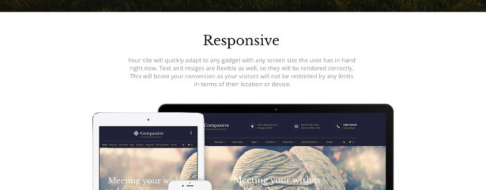 Compassive - Template Situs Web HTML5 Layanan Pemakaman & Pemakaman - Fitur Gambar 6