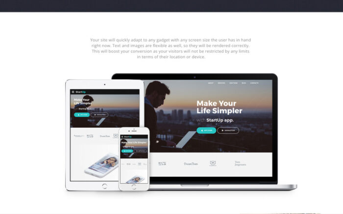 StartUp - Template Halaman Arahan HTML5 Perusahaan Startup Bisnis - Fitur Gambar 5