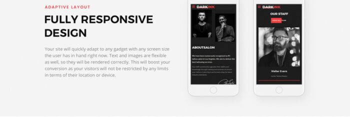 DarkInk - Template Situs Web HTML5 Multihalaman Salon Tato - Fitur Gambar 7