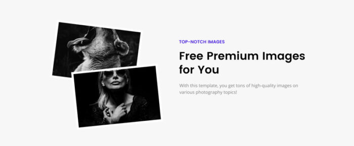 Ann Bennett - Portofolio Fotografer Template Situs Web HTML Kreatif Multihalaman - Fitur Gambar 4