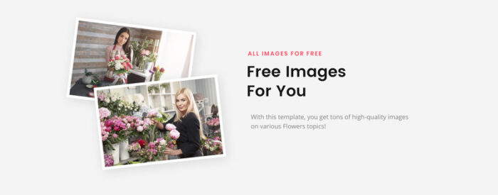 Florium - Template Situs Web HTML Multihalaman Modern Toko Bunga - Fitur Gambar 4