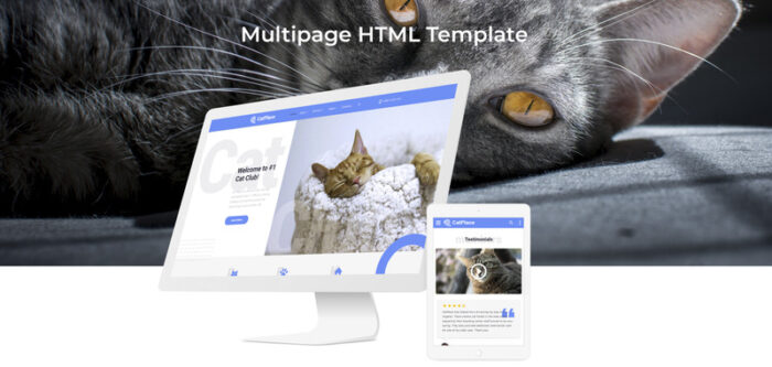 Cat Place - Template Situs Web HTML Multihalaman Hewan & Hewan Peliharaan - Fitur Gambar 2