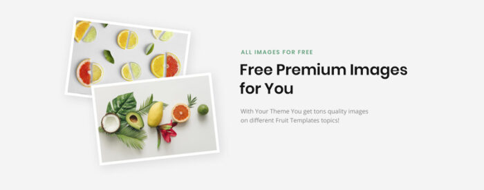 Template Situs Web Pertanian Buah Organik Orange - Fitur Gambar 4