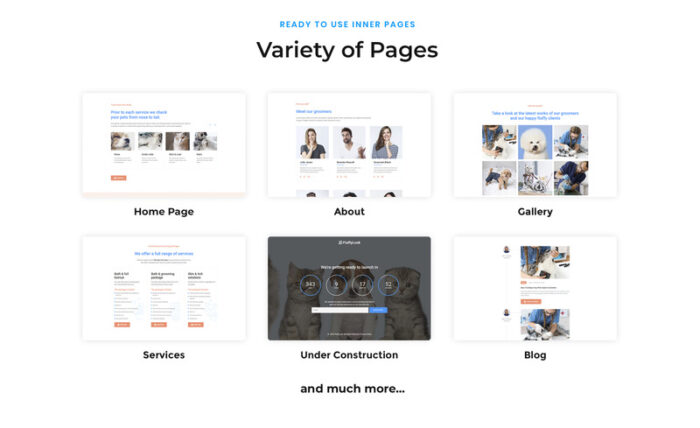 FluffyLook - Template Situs Web Salon Perawatan Hewan Peliharaan - Fitur Gambar 3