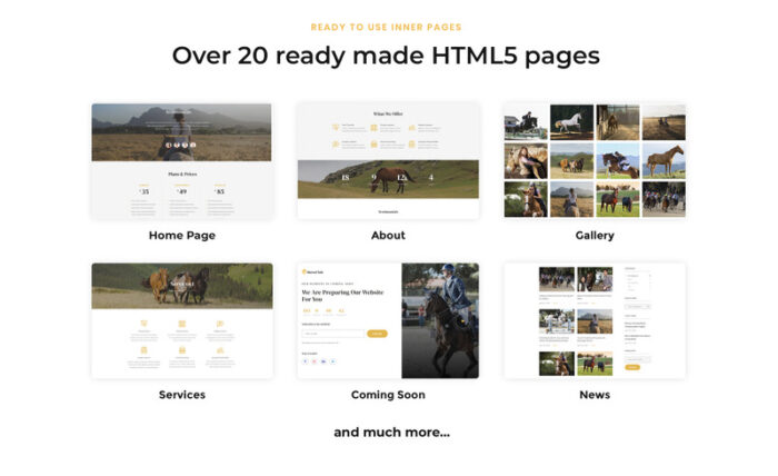 HorseClub - Template Situs Web HTML Multihalaman Hewan Elegan - Fitur Gambar 3