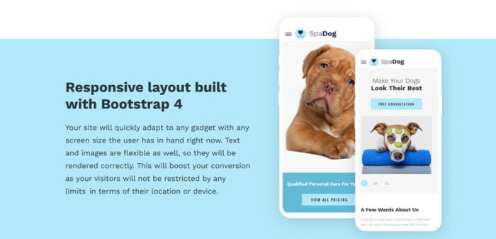 SpaDog - Template Situs Web Salon Perawatan Anjing - Fitur Gambar 6