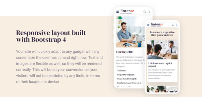 Lintense Insurance Agency - Template Halaman Arahan HTML Kreatif - Fitur Gambar 6