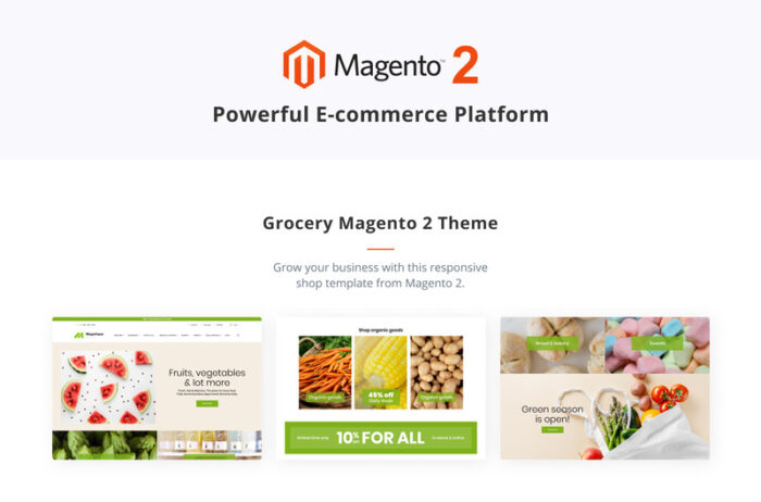 Template Toko Kelontong Magetique Online Tema Magento - Fitur Gambar 2