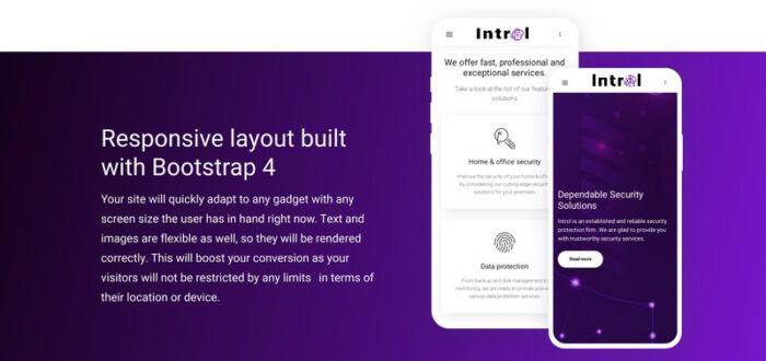 Introl - Template Situs Web Responsif Perusahaan Keamanan - Fitur Gambar 6