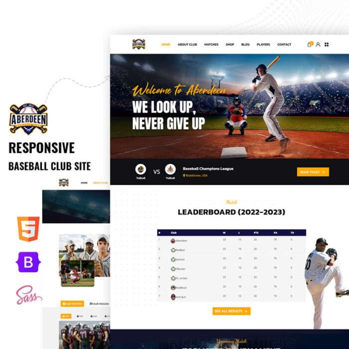 Buzzball - Template Situs Web HTML5 Multihalaman Olahraga Bisbol - Fitur Gambar 1