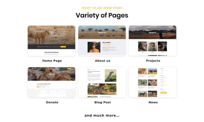 WildLife - Template Situs Web HTML Kreatif Multihalaman Satwa Liar - Fitur Gambar 3