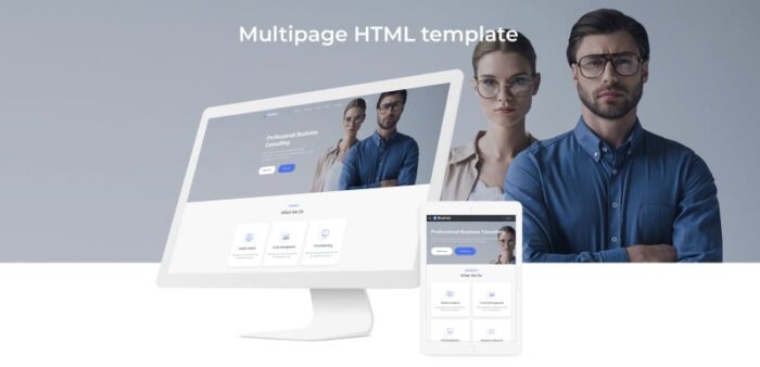 Businet - Template Situs Web HTML5 Multihalaman Modern Agensi Konsultasi - Fitur Gambar 2